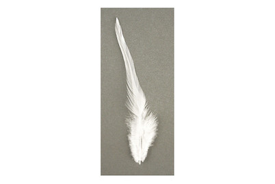 Image of Rayher Trendyfeder | 10-15 cm | 2 g