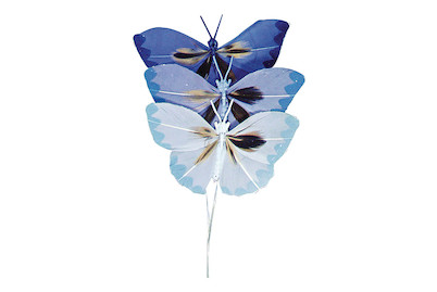 Image of Rayher Federschmetterling Dunkelblau | 2 × 4 cm | 6 Stück