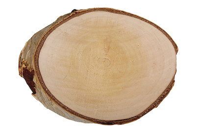 Image of Rayher Birken-Scheibe Rund | ⌀ 15-17 cm | H 2 cm