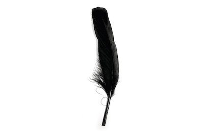 Image of Rayher Gänsefedern Schwarz | 16-20 cm | 8 Stück