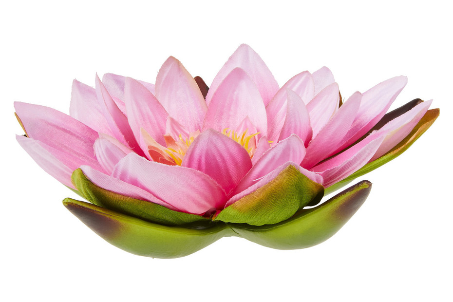 Seerose 19 cm pink kaufen bei JUMBO