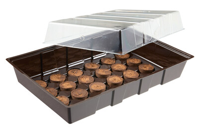 Windhager Serra da Interno con 24 Pastiglie di Crescita | 11 × 22 × 33,5 cm