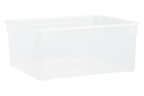 Rotho Aufbewahrungsbox Clear Box ohne Deckel | 17 × 33.5 × 39.5