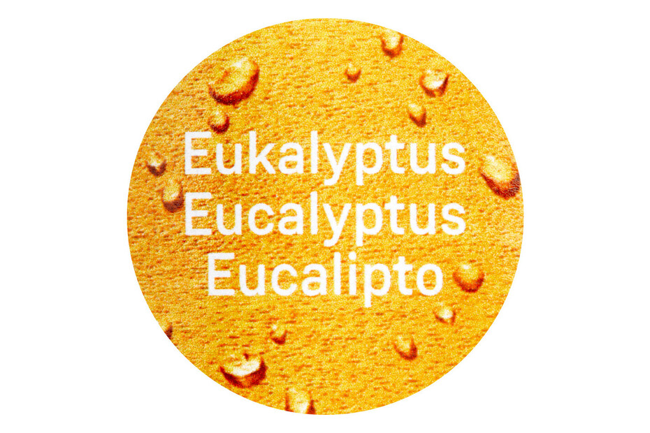 Alpina Eukalyptus-Öl 3in1 | Gelb | 0.75 l