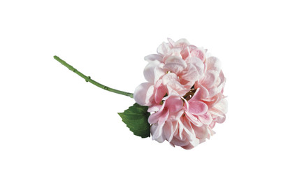 Image of Rayher Hortensie | 33 cm