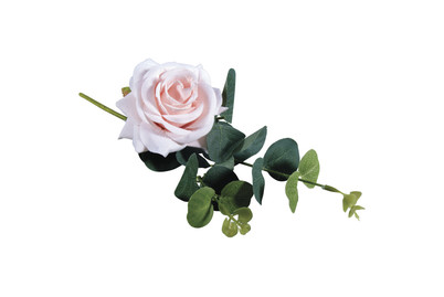 Image of Rayher Rosen Pick mit Eukalyptus | 28 cm