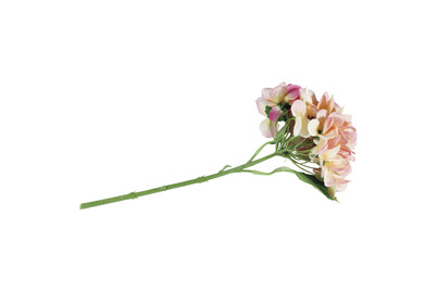 Image of Hortensie, 33cm