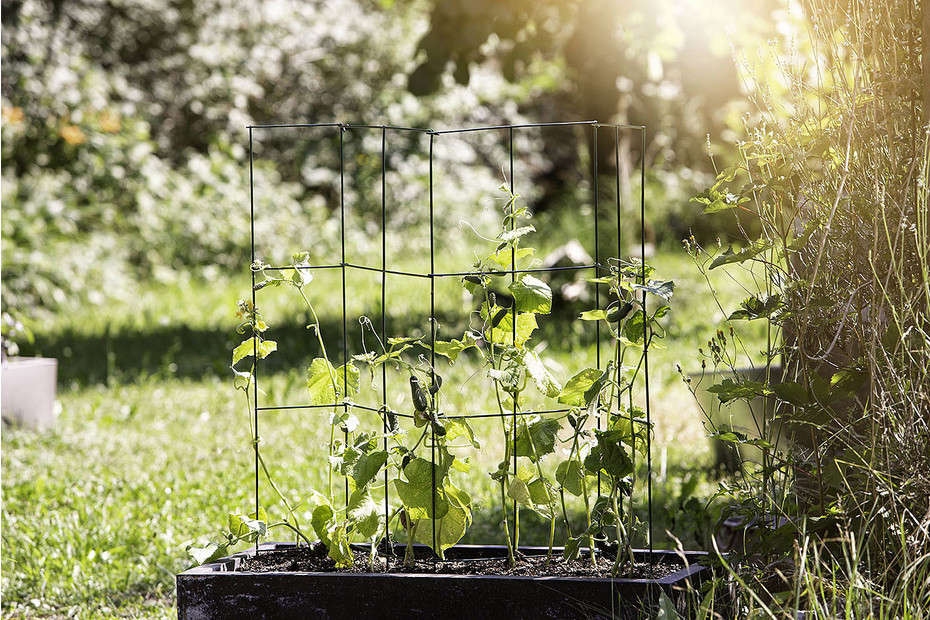 Griglia Giardino Metallica Per Piante Rampicanti - Supporto Verticale - Foto 11