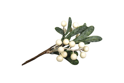 Image of Mistelzweig, 12x16cm