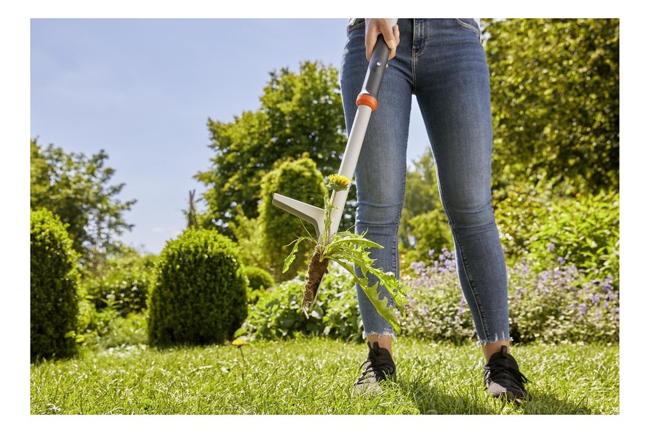 Rollway Désherbeur Forme L Y Désherbeur Manuel Rollway 2 Pièces - Outil Jardin Acier Inoxydable Pour Mauvaises Herbes Outil Jardin Anti-rouille Rollway Désherbeur Forme L Y Désherbeur Manuel Rollway 2 Pièces - Outil Jardin Acier Inoxydable Pour Mauvaises Herbes Outil Jardin Anti-rouille