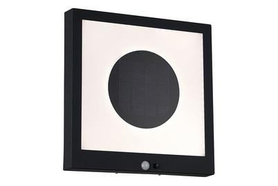 Paulmann Pannello Solare Taija Antracite | 30 × 30 cm | 1.2 W