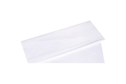 Image of Seidenpapier, lichtecht