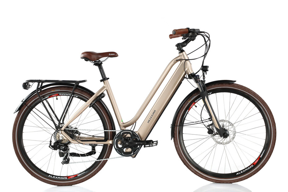 Allegro Vélo électrique Invisible Alltour Atil°02 Sanisbal Or 48