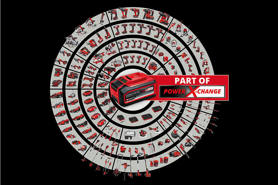 Chiodi Per Chiodatrice Einhell - 3.000 Pezzi, Lunghezza 32mm - Per TE-CN 18 Li-Solo - Foto 10