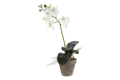 Image of Mica Kunstpflanze Phalaenopsis Weiss im Topf | 48 × 13 cm