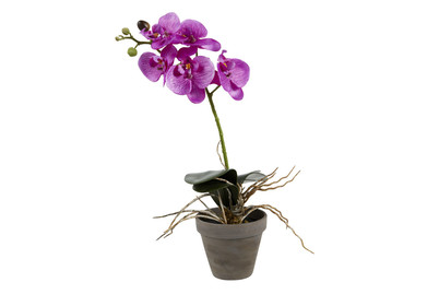 Image of Mica Kunstpflanze Phalaenopsis Topf Grau | 13 × 48 cm