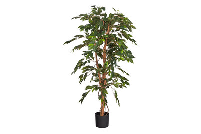 Image of Mica Künstlicher Ficus im Pflanztopf | 85 × 150 cm