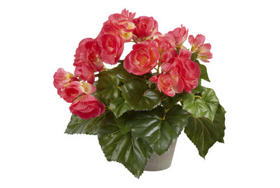 Image of Mica Künstliche Begonie D'Rosa im Topf Grau | 20 × 25 cm