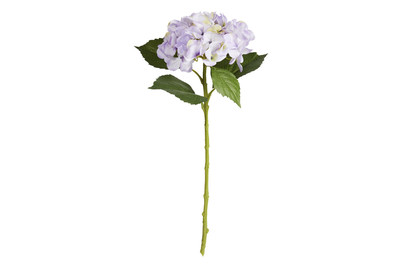 Image of Mica Hortensie Flieder | 51 cm