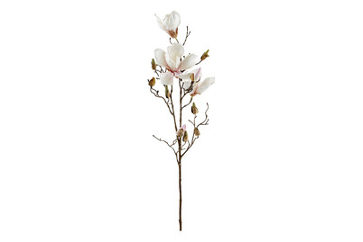 Image of Mica Magnolie Hellrosa | 88 cm