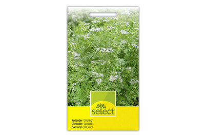 Image of Select Koriander Cilantro