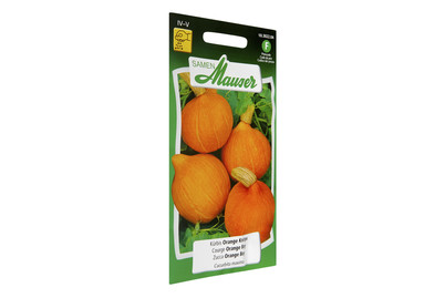 Image of Samen Mauser Kürbis Orange Knirps