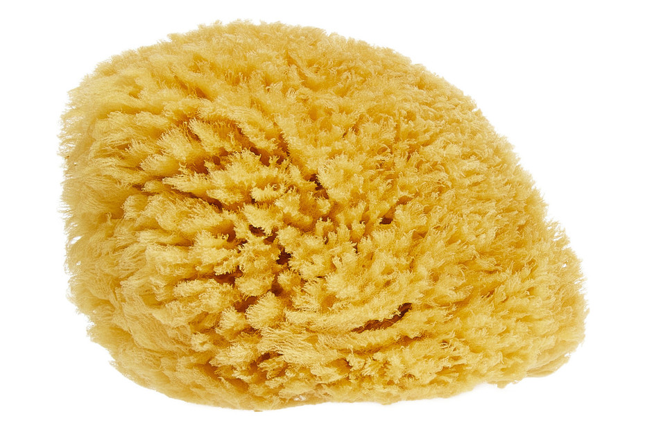 MOOD Spugna di mare acquistare da JUMBO