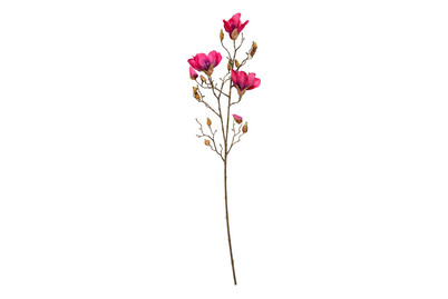 Image of Mica Kunst-Magnolie Dunkelrosa | 88 cm