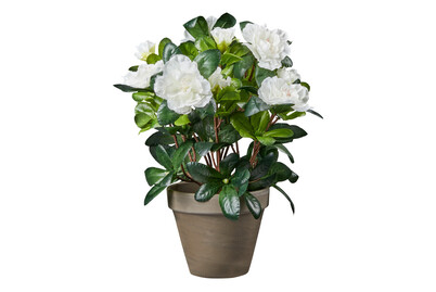 Image of Mica Künstliche Azalee Weiss Topf Grau | 20 × 27 cm