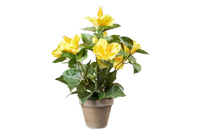 Image of Mica Kunstpflanze Hibiskus im Topf Grau | 30 × 40 cm