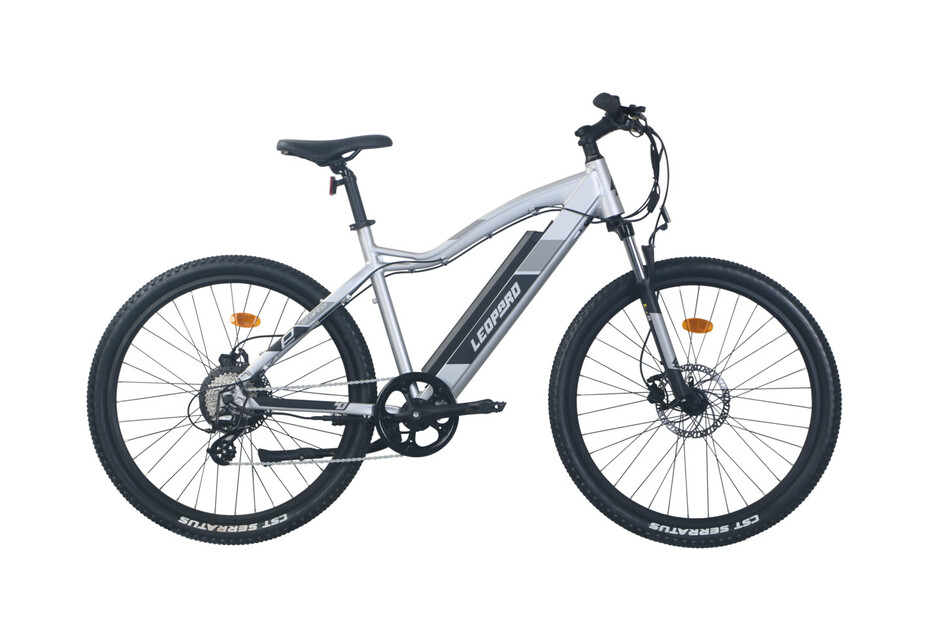 Leopard E-Mountainbike Starter