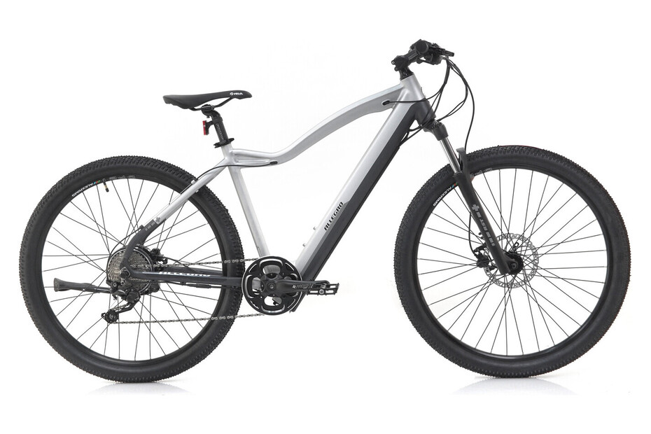 z.B. Allegro E-Mountainbike Invisible AXIM°03 29
