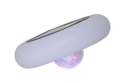 Star Trading Solarleuchte Pool Light | Kunststoff | IPx5