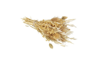 Image of Trockenblumen Strauss m.Papiermanschette, 28cm