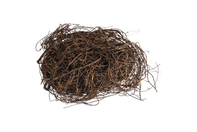 Image of Mühlenbeckie Deko Zweige, natur, getrocknet, Beutel 50g