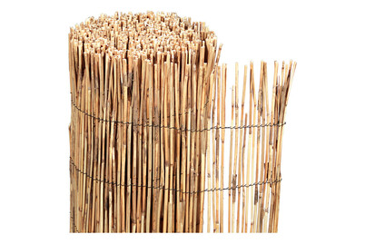 Videx Peking Schilfrohrmatte natur | 6x1 m