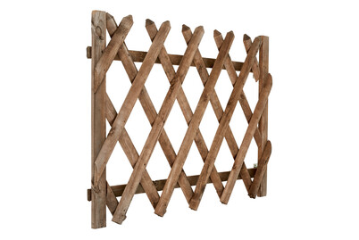 Image of Scherenzaun Tor Kiefer | 100 × 80 cm