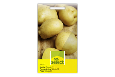 Image of Select Kartoffel Soltastic F1