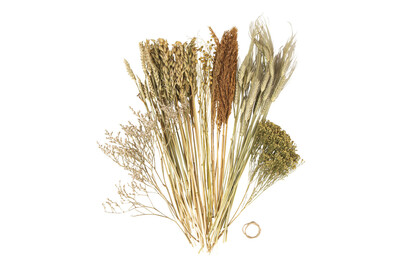Image of Trockenblumen Mix, Box