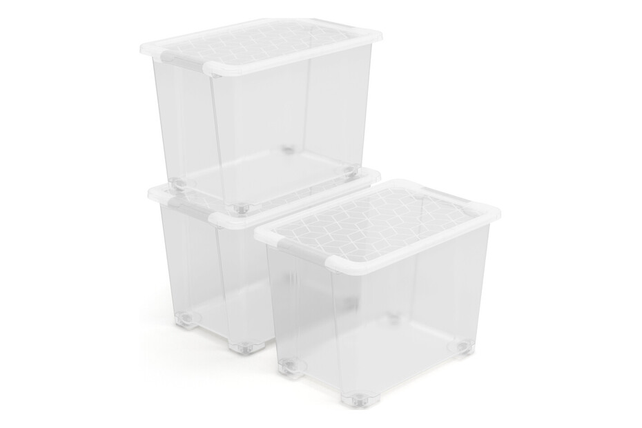Rotho Aufbewahrungsbox inkl. Deckel Evo Easy | 58.5 × 39 × 41 cm | 65 l | 3 Stück (Abholung)