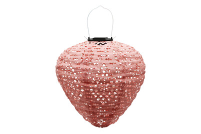 Solarlampion Olbia