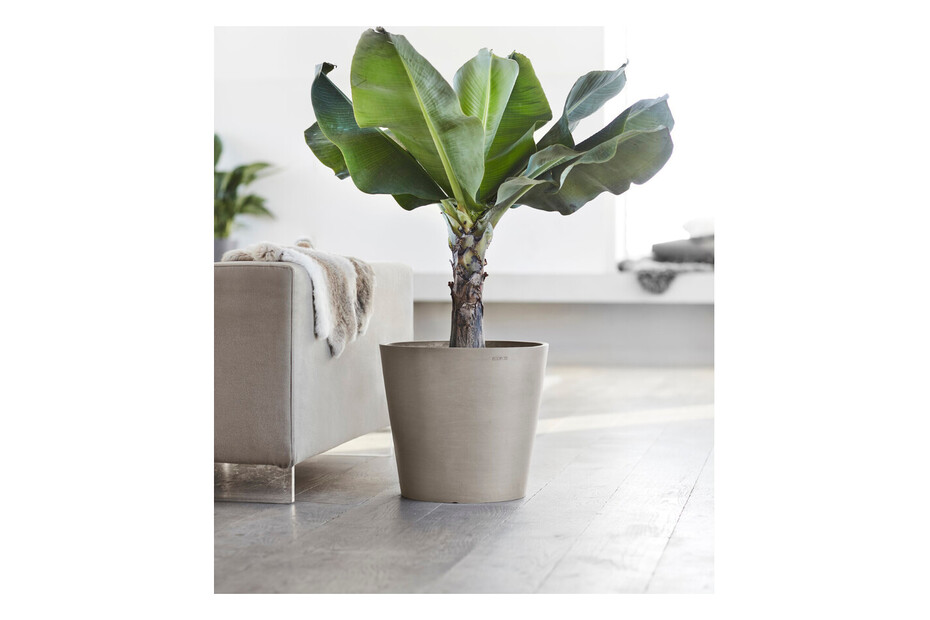 ECOPOTS Vaso da fiori Amsterdam Wheels 60 cm Grigio Vaso da fiori ECOPOTS Vaso da fiori Amsterdam Wheels 60 cm Grigio Vaso da fiori